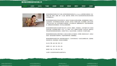 重庆隆优西翔信息科技有限公司