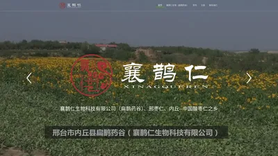 襄鹊仁生物科技有限公司|邢枣仁|内丘酸枣仁|中国酸枣仁之乡|扁鹊药谷-邢台市襄鹊仁生物科技有限公司