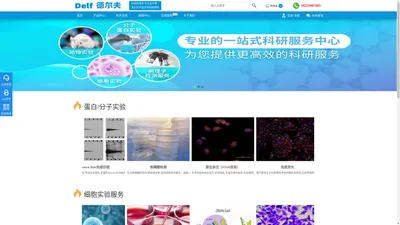 德尔夫生物实验室_分子实验_细胞实验_动物造模丨合肥德尔夫生物科技有限公司