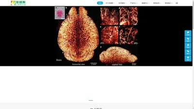 组织透明化三维成像_组织透明化试剂盒-佳维斯(武汉)生物医药有限公司