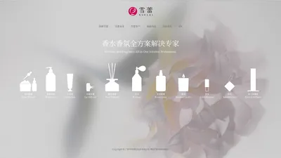 广州市雪蕾化妆品有限公司