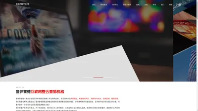 武清网站建设,武清网站制作,武清网站设计,网络公司 - 盛世雷德互联网整合营销