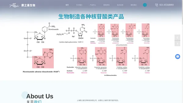 酶法制造核苷酸-酶法制造抗病毒药物-核酸-核苷酸-上海蔚之星生物科技有限公司