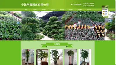 宁波花卉租赁|宁波植物出租|宁波花木盆栽出租|宁波办公室绿植租摆-宁波华馨园艺花木