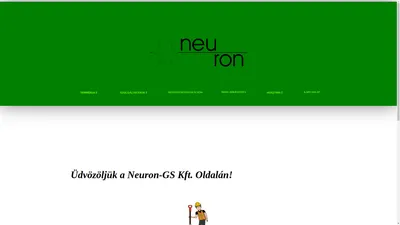 Neuron-GS