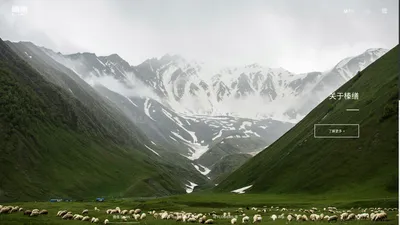 榛缮生物科技（深圳）有限公司 - 身体养护 - 紧致精华