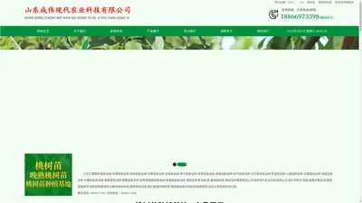 桃树苗|晚熟桃树苗|桃树苗种植基地-山东成伟现代农业科技有限公司