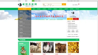 咸阳养殖网_泾阳县宏桥奶牛养殖有限公司