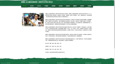 琅琊区 企业建站免费指导 小程序开发 帮扶 南长区