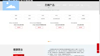 山东德源泵业有限公司- QJ型井用潜水电泵,BQS矿用潜水电泵