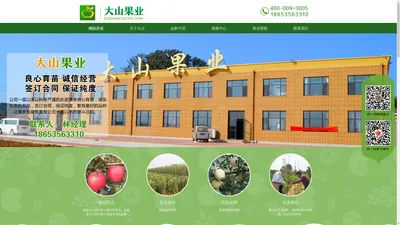 响富|新品种苹果苗|烟台苹果苗|烟台矮化苹果苗|烟富3号苹果苗|M9T337矮化苹果苗-大山果业