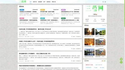 三苗网 - 阳江市阳东区云毅网络科技工作室