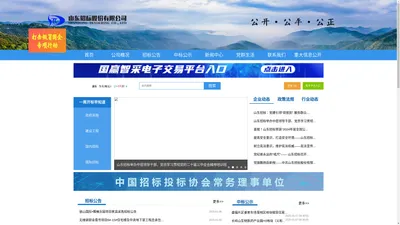 山东招标股份有限公司