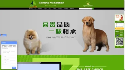 京福犬业-北京纯种犬培育中心-中国纯种犬协会认证犬业 全国文明犬业 - 北京京福犬业