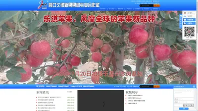 乐淇苹果苗_乐淇苹果_爱琳娜西梅-营口义缘新果果树专业合作社