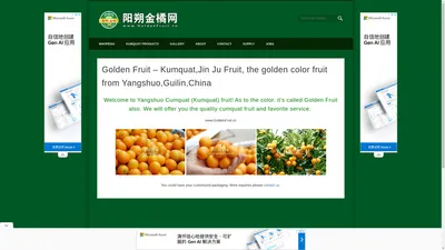 阳朔金桔(阳朔金橘) – Golden Fruit – 阳朔优质金桔种植生产基地。Cumquat (Kumquat) fruit of Yangshuo,Guillin – 黄金果