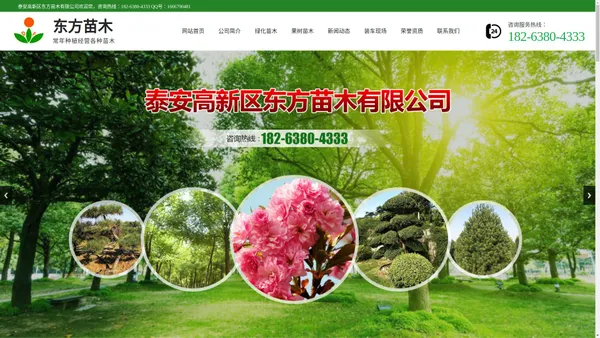 山东泰安绿化苗,果树苗种植批发基地_泰安高新区东方苗木有限公司