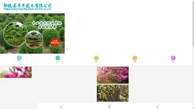 首页 - 鄢陵县丰平花木有限公司