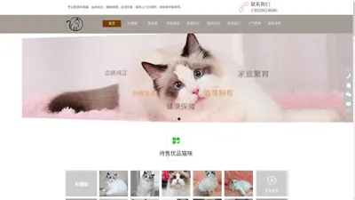 天津猫舍-布偶猫-蓝猫-多少钱一只-天津哪里有卖猫的