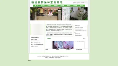 狮猫,临清狮子猫,山东狮猫-临清狮猫保种繁育基地