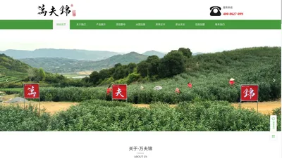 福鼎市万夫锦茶业有限公司|福鼎市万夫锦茶业公司|福鼎万夫锦茶业有限公司|万夫锦茶业有限公司|万夫锦茶业公司|万夫锦茶业【官网】