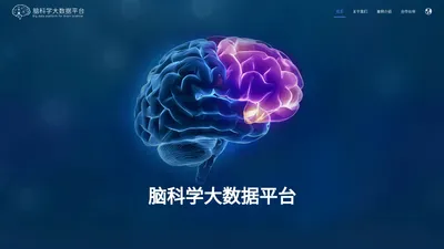 脑科学大数据平台