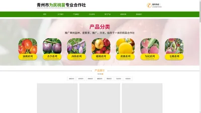 青州市为民桃苗专业合作社-主营山东晚熟桃苗_桃苗批发_新品种桃苗