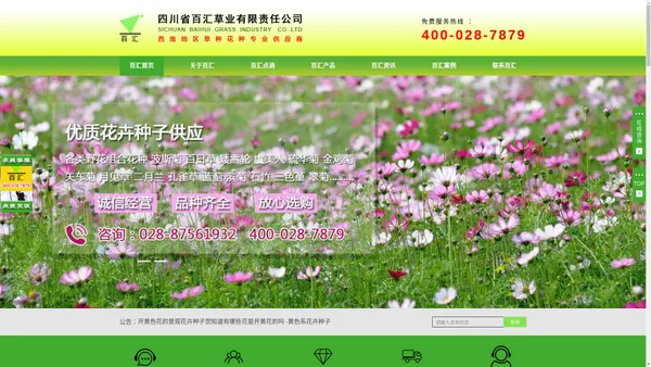 四川草种花种子、成都草种草坪批发专业供应商-【百汇草业公司】