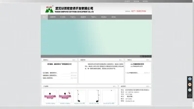 武汉计算机软件开发有限公司