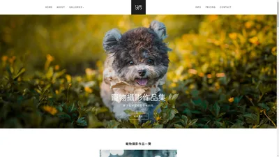 寵物攝影｜Pet Photography｜影Pet Pet工作室™