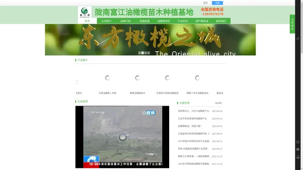 油橄榄苗木网-中国陇南油橄榄树苗种植基地