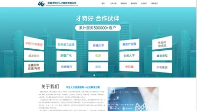 新疆才特好人才服务有限公司