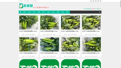 百蔬图（农科百蔬网）|免费蔬菜高清图片分享网站