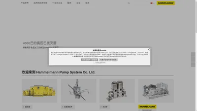 高压水射流清洗切割技术|工业高压清洗泵|注入泵|进料泵|流程泵厂家|进口高压泵品牌-哈莫尔曼 | Hammelmann Pump System Co. Ltd.