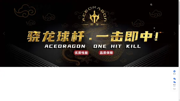 AceDragon骁龙球杆