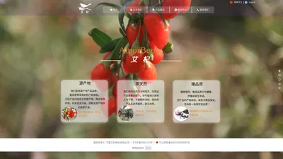 艾杞 / Amorberry