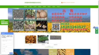 围场满族蒙古族自治县天和源中药材种植专业合作社金莲花|金莲花干品|金莲花苗|金莲花培育|金莲花多少钱