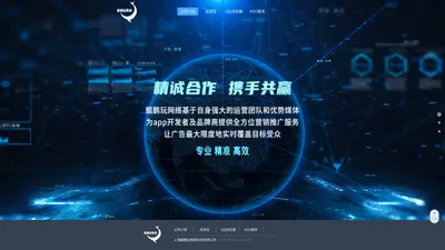 上海鲲鹏玩网络科技有限公司