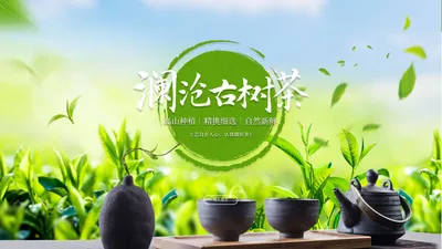 景迈茶叶_景迈好茶_景迈古树_澜沧友人种养殖场