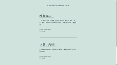 武汉市武昌区向月星腾文化工作室