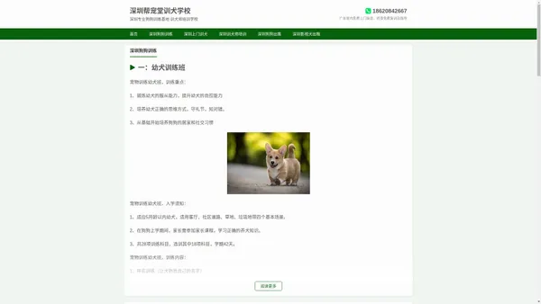 深圳训犬基地_深圳上门训犬 训犬师培训_深圳帮宠堂训犬学校