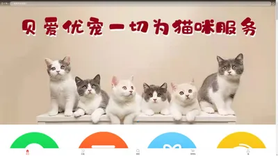 外猫喵宠-让你省钱养出健康的猫咪