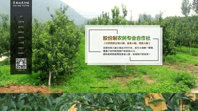 易县苹硕林果种植农民专业合作社-狼牙山苹果采摘园_保定绿色生态采摘园_王琳苹果生态种植