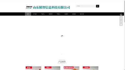 山东精智信息科技有限公司官网