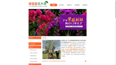 南宁绿桂园花木场|南宁花木场|南宁绿化树木|城市绿化树木|禄旺树桩|紫薇树桩