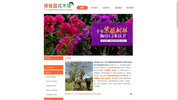 南宁绿桂园花木场|南宁花木场|南宁绿化树木|城市绿化树木|禄旺树桩|紫薇树桩