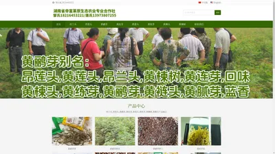 湖南省帝富莱原生态农业专业合作社_涟源市荷塘镇礼左村黄鹂芽产业园