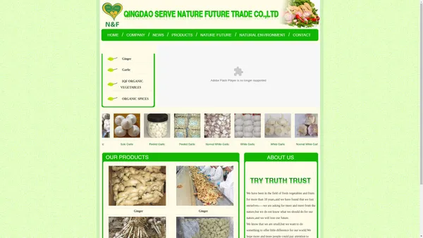 QINGDAO SERVE NATURE FUTURE TRADE CO.,LTD|Ginger|Garlic| 