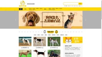 乖宠网 - 各种宠物喂养护理、训练，猫狗品种知识百科大全