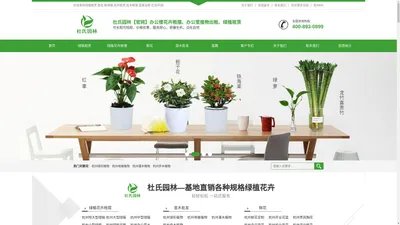 杭州绿植租赁|杭州花卉租摆|杭州办公室植物租赁|杭州绿植花卉批发|绿化养护|杭州甲醛检测治理|除甲醛-杜氏环境